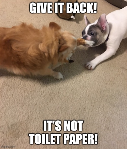 Give it back | GIVE IT BACK! IT’S NOT TOILET PAPER! | image tagged in give it back | made w/ Imgflip meme maker