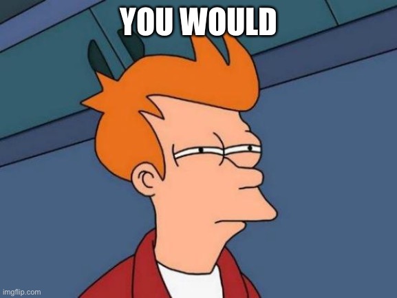 Futurama Fry Meme | YOU WOULD | image tagged in memes,futurama fry | made w/ Imgflip meme maker