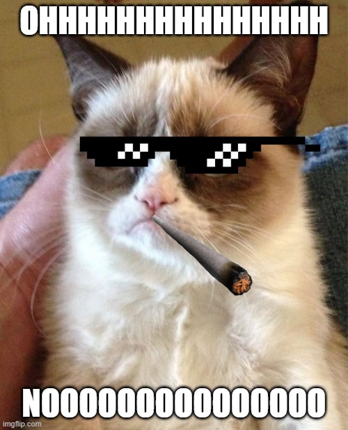 Grumpy Cat Meme | OHHHHHHHHHHHHHHH; NOOOOOOOOOOOOOOO | image tagged in memes,grumpy cat | made w/ Imgflip meme maker