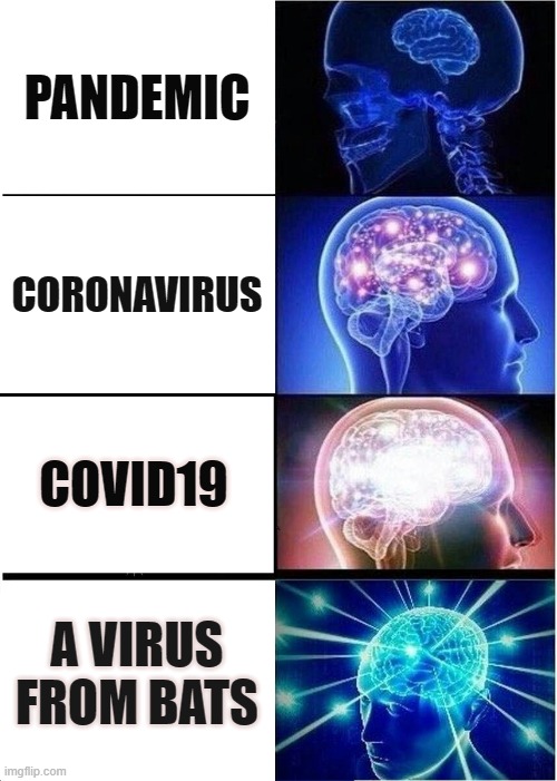 Expanding Brain | PANDEMIC; CORONAVIRUS; COVID19; A VIRUS FROM BATS | image tagged in memes,expanding brain | made w/ Imgflip meme maker