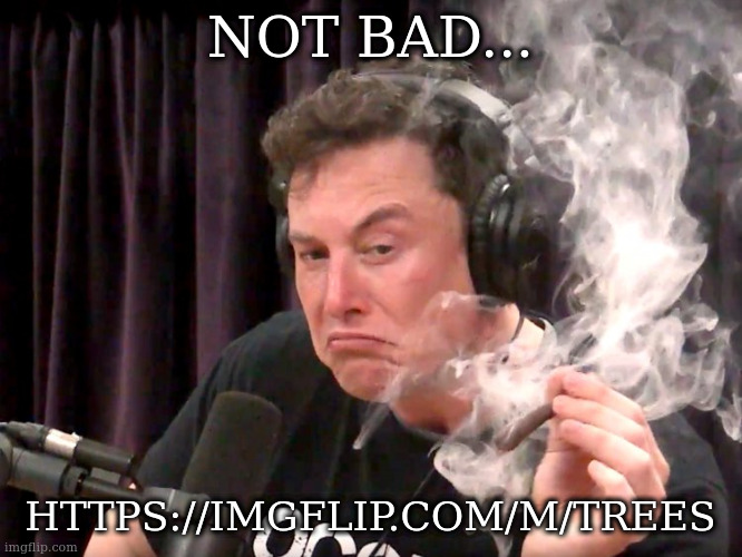 Elon Musk Weed | NOT BAD... HTTPS://IMGFLIP.COM/M/TREES | image tagged in elon musk weed | made w/ Imgflip meme maker