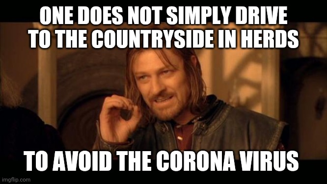 Sean Bean Lord Of The Rings | ONE DOES NOT SIMPLY DRIVE TO THE COUNTRYSIDE IN HERDS; TO AVOID THE CORONA VIRUS | image tagged in sean bean lord of the rings | made w/ Imgflip meme maker