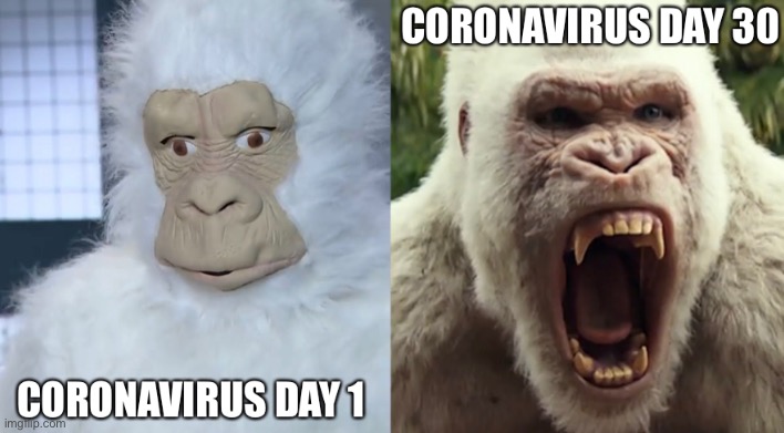 Days of Coronavirus | image tagged in coronavirus | made w/ Imgflip meme maker