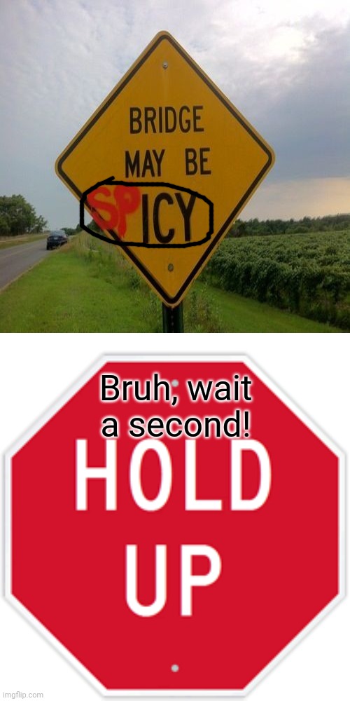Road sign | Bruh, wait a second! | image tagged in hold up,memes,road signs,funny road signs,meme,funny | made w/ Imgflip meme maker
