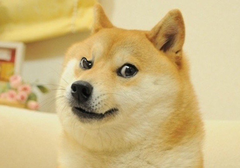 Inquisitive Doge Blank Meme Template