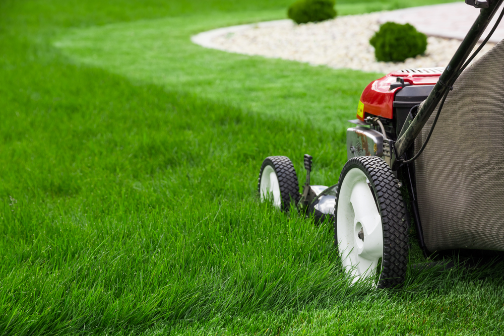 High Quality Lawn Mower Blank Meme Template