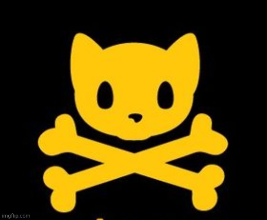 Pirate Cat! | image tagged in pirate cat | made w/ Imgflip meme maker