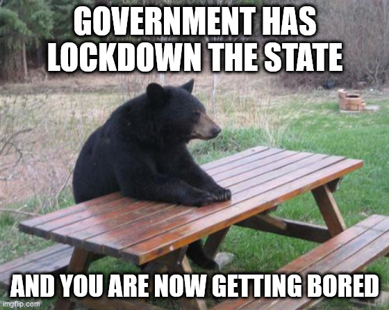 Bad Luck Bear | GOVERNMENT HAS LOCKDOWN THE STATE; AND YOU ARE NOW GETTING BORED | image tagged in memes,bad luck bear | made w/ Imgflip meme maker