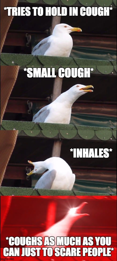 Inhaling Seagull Meme | *TRIES TO HOLD IN COUGH*; *SMALL COUGH*; *INHALES*; *COUGHS AS MUCH AS YOU CAN JUST TO SCARE PEOPLE* | image tagged in memes,inhaling seagull | made w/ Imgflip meme maker