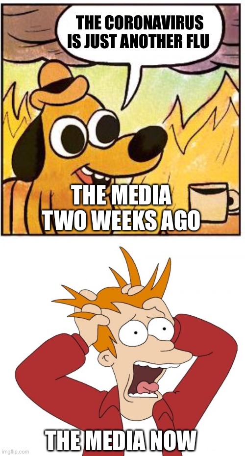 THE CORONAVIRUS IS JUST ANOTHER FLU; THE MEDIA TWO WEEKS AGO; THE MEDIA NOW | image tagged in panic,this is fine blank | made w/ Imgflip meme maker
