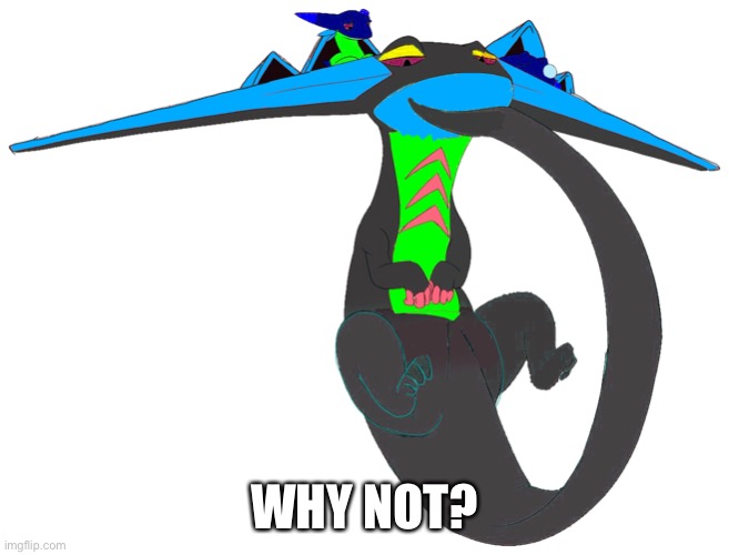 WHY NOT? | made w/ Imgflip meme maker