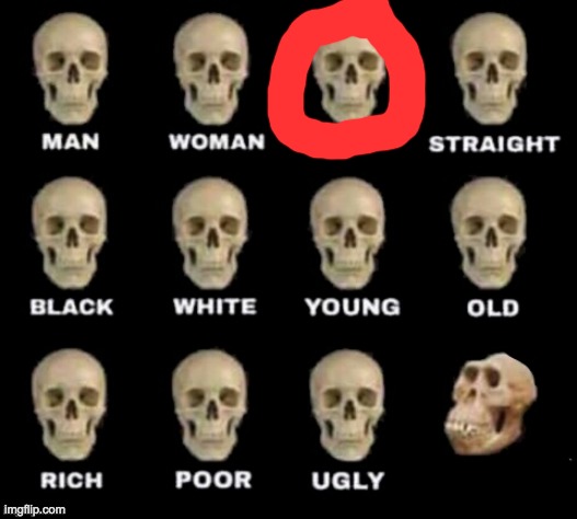 idiot skull | image tagged in idiot skull | made w/ Imgflip meme maker