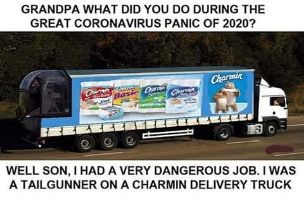 Grandpa, what did you do during the great Coronavirus panic of 2020? | image tagged in coronavirus,toilet paper,no more toilet paper,mountain of toilet paper,hoarders,tailgunner | made w/ Imgflip meme maker