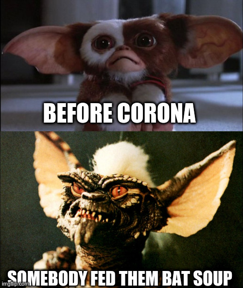 More human than one might think of | BEFORE CORONA SOMEBODY FED THEM BAT SOUP | image tagged in gremlin  mogwai | made w/ Imgflip meme maker