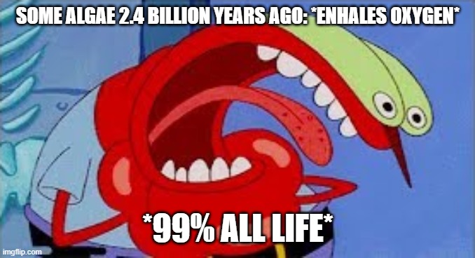 Mr. Krabs Choking | SOME ALGAE 2.4 BILLION YEARS AGO: *ENHALES OXYGEN*; *99% ALL LIFE* | image tagged in mr krabs choking | made w/ Imgflip meme maker