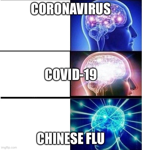 Expanding brain 3 panels | CORONAVIRUS; COVID-19; CHINESE FLU | image tagged in expanding brain 3 panels | made w/ Imgflip meme maker