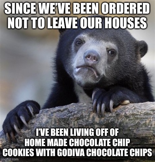 Confession Bear Meme | SINCE WE’VE BEEN ORDERED NOT TO LEAVE OUR HOUSES; I’VE BEEN LIVING OFF OF HOME MADE CHOCOLATE CHIP COOKIES WITH GODIVA CHOCOLATE CHIPS | image tagged in memes,confession bear,quarantine,corona virus,coronavirus | made w/ Imgflip meme maker