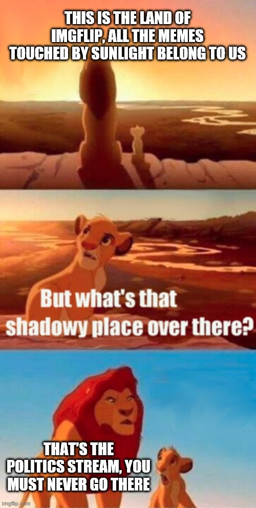 Simba Shadowy Place | THIS IS THE LAND OF IMGFLIP, ALL THE MEMES TOUCHED BY SUNLIGHT BELONG TO US; THAT'S THE POLITICS STREAM, YOU MUST NEVER GO THERE | image tagged in memes,simba shadowy place | made w/ Imgflip meme maker