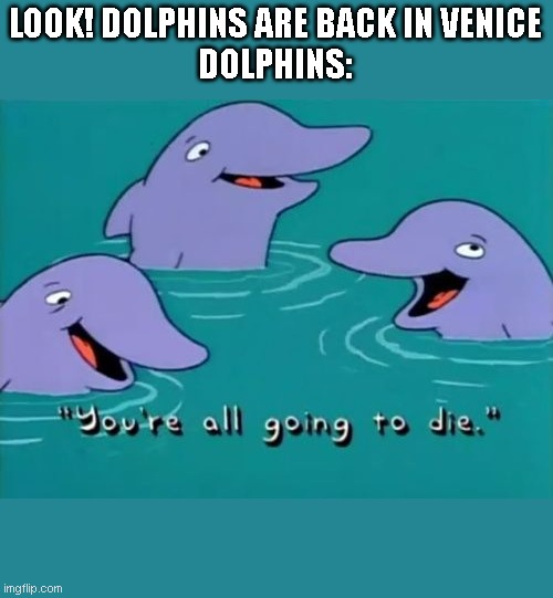 Stupid dolphins! | LOOK! DOLPHINS ARE BACK IN VENICE
DOLPHINS: | image tagged in dolphins,the simpsons,virus | made w/ Imgflip meme maker