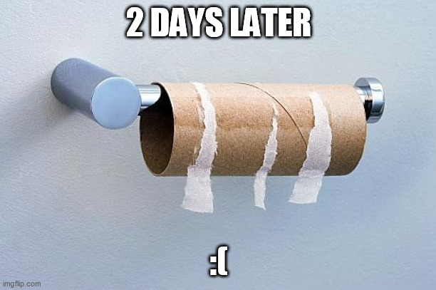 No More Toilet Paper | 2 DAYS LATER :( | image tagged in no more toilet paper | made w/ Imgflip meme maker