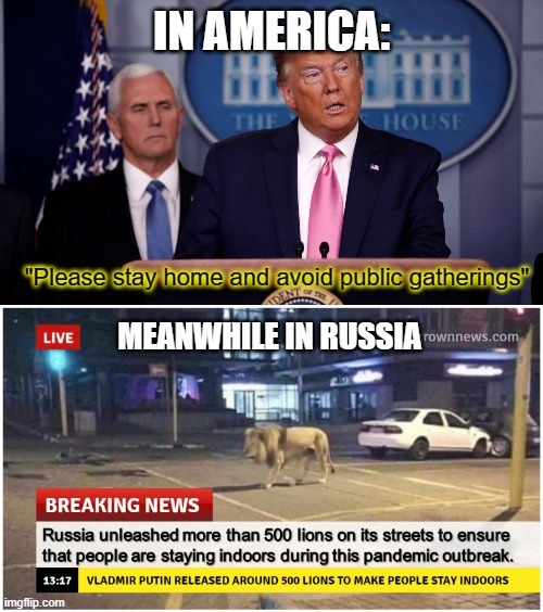 In America, Donald Trump make you stay home. In Soviet Russia, lions make you stay home. |  IN AMERICA:; "Please stay home and avoid public gatherings"; MEANWHILE IN RUSSIA | image tagged in lions,funny,memes,russia,america,coronavirus | made w/ Imgflip meme maker