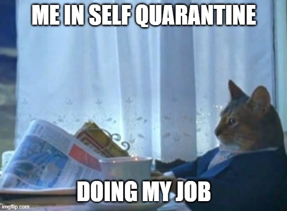 I Should Buy A Boat Cat | ME IN SELF QUARANTINE; DOING MY JOB | image tagged in memes,i should buy a boat cat | made w/ Imgflip meme maker