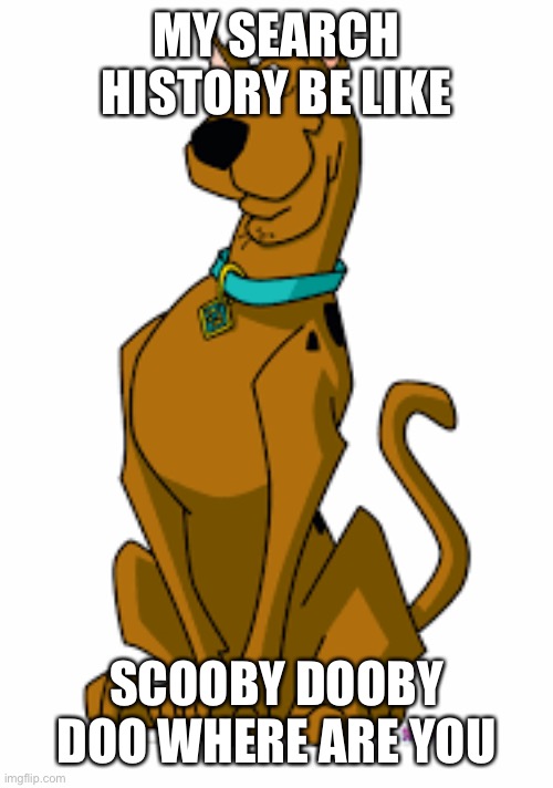 Scooby Where Are You | MY SEARCH HISTORY BE LIKE; SCOOBY DOOBY DOO WHERE ARE YOU | image tagged in scooby where are you,scooby doo | made w/ Imgflip meme maker