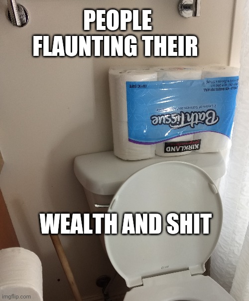 PEOPLE FLAUNTING THEIR; WEALTH AND SHIT | image tagged in wealth,toilet paper,tp,bragging | made w/ Imgflip meme maker