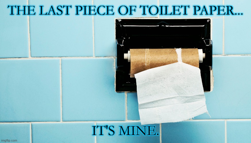 THE LAST PIECE OF TOILET PAPER... IT'S MINE. | image tagged in toilet paper | made w/ Imgflip meme maker