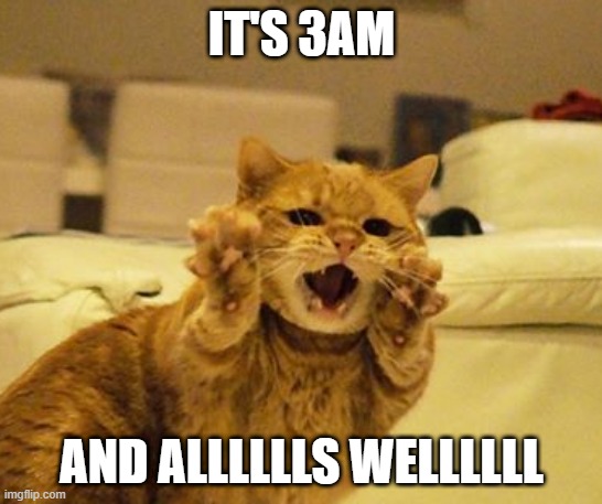 Cat PSA | IT'S 3AM; AND ALLLLLLS WELLLLLL | image tagged in cat psa | made w/ Imgflip meme maker