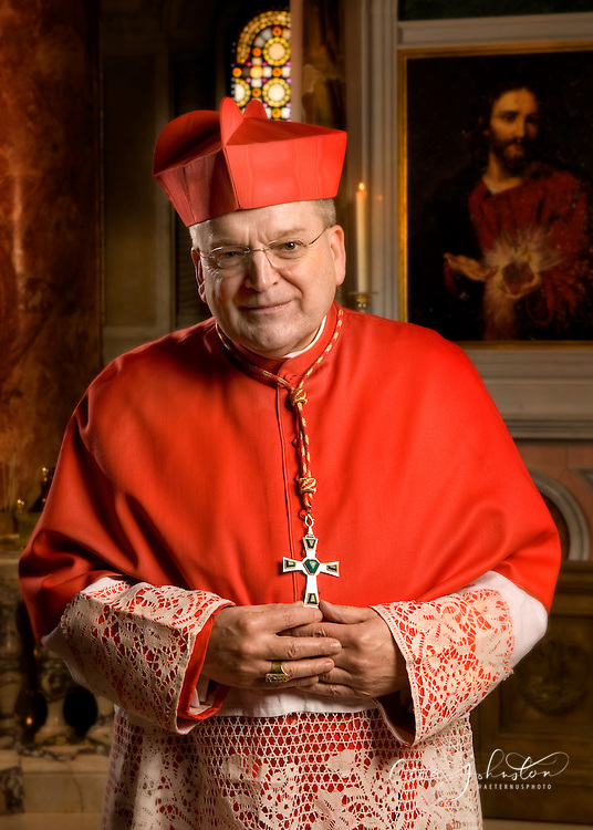 High Quality Cardinal Raymond Burke Blank Meme Template