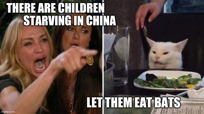 Woman yelling at cat | THERE ARE CHILDREN                                           
STARVING IN CHINA; LET THEM EAT BATS | image tagged in woman yelling at cat | made w/ Imgflip meme maker