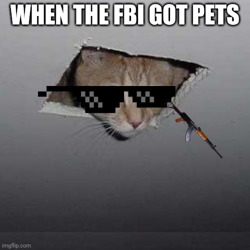 Ceiling Cat Meme | WHEN THE FBI GOT PETS | image tagged in memes,ceiling cat | made w/ Imgflip meme maker