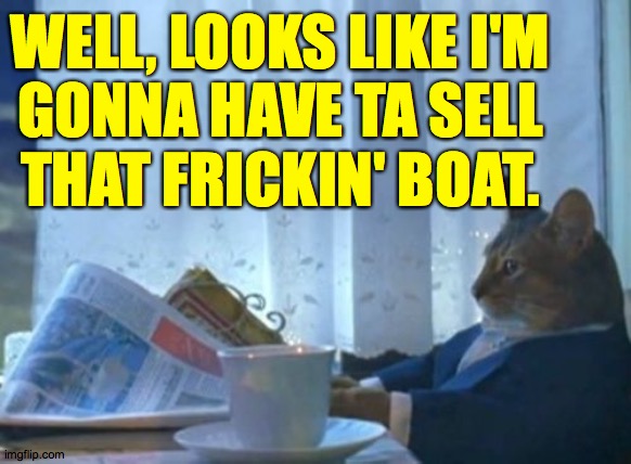 I Gotta Sell My Boat Cat | WELL, LOOKS LIKE I'M
GONNA HAVE TA SELL
THAT FRICKIN' BOAT. | image tagged in memes,i should buy a boat cat,stock market,nooooooooo | made w/ Imgflip meme maker