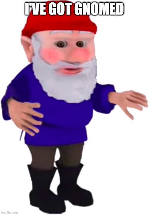 Gnome | I'VE GOT GNOMED | image tagged in gnome | made w/ Imgflip meme maker