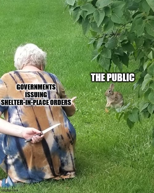 grandma hiding knife rabbit | THE PUBLIC; GOVERNMENTS ISSUING SHELTER-IN-PLACE ORDERS | image tagged in grandma hiding knife rabbit | made w/ Imgflip meme maker