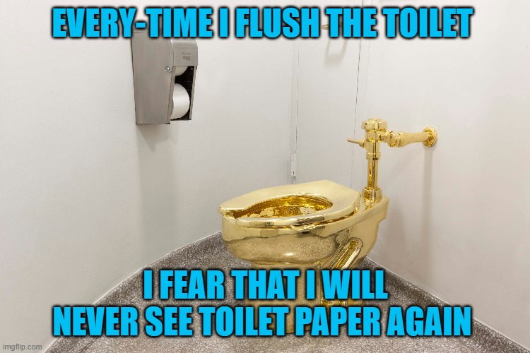 Never see toilet Paper again | EVERY-TIME I FLUSH THE TOILET; I FEAR THAT I WILL NEVER SEE TOILET PAPER AGAIN | image tagged in toliet,fun,funny | made w/ Imgflip meme maker