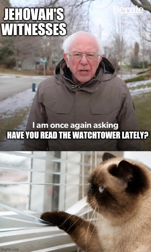  JEHOVAH'S WITNESSES; HAVE YOU READ THE WATCHTOWER LATELY? | image tagged in cat looking out window,memes,bernie i am once again asking for your support | made w/ Imgflip meme maker