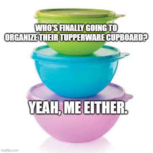 Tupperware | WHO'S FINALLY GOING TO ORGANIZE THEIR TUPPERWARE CUPBOARD? YEAH, ME EITHER. | image tagged in tupperware | made w/ Imgflip meme maker
