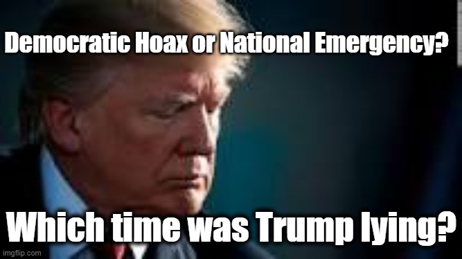 Which time was Trump lying? | Democratic Hoax or National Emergency? Which time was Trump lying? | image tagged in trump lies,hoax,coronavirus | made w/ Imgflip meme maker