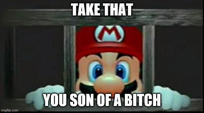 Mario In Jail | TAKE THAT YOU SON OF A B**CH | image tagged in mario in jail | made w/ Imgflip meme maker