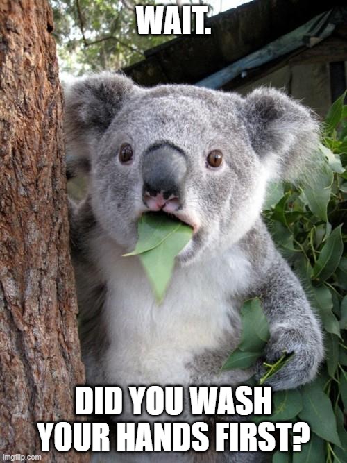 Wait, Did you wash your hands first?! | WAIT. DID YOU WASH YOUR HANDS FIRST? | image tagged in memes,surprised koala,coronavirus meme,coronavirus,covid-19,wash your hands | made w/ Imgflip meme maker
