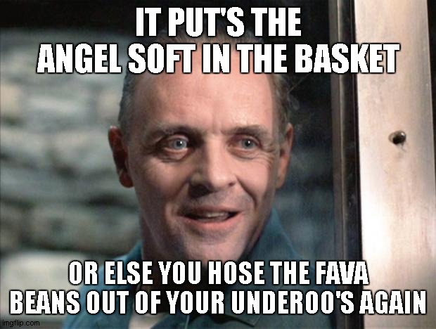 Hannibal Lecter | IT PUT'S THE ANGEL SOFT IN THE BASKET OR ELSE YOU HOSE THE FAVA BEANS OUT OF YOUR UNDEROO'S AGAIN | image tagged in hannibal lecter | made w/ Imgflip meme maker