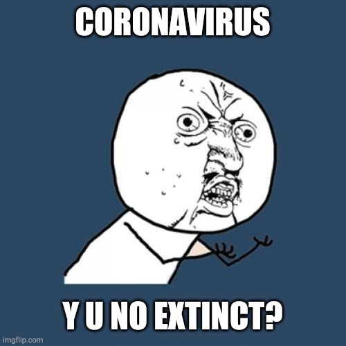 Y U No | CORONAVIRUS; Y U NO EXTINCT? | image tagged in memes,y u no | made w/ Imgflip meme maker