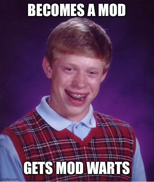 Bad Luck Brian Meme | BECOMES A MOD GETS MOD WARTS | image tagged in memes,bad luck brian | made w/ Imgflip meme maker