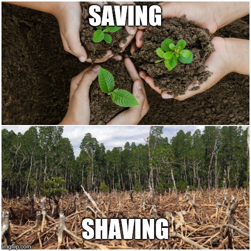 Make up your mind |  SAVING; SHAVING | image tagged in trees,ecology,deforestation,earth day | made w/ Imgflip meme maker