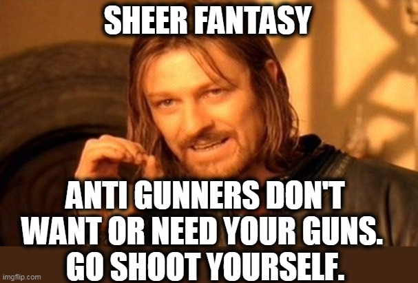One Does Not Simply Meme | SHEER FANTASY ANTI GUNNERS DON'T WANT OR NEED YOUR GUNS. 
GO SHOOT YOURSELF. | image tagged in memes,one does not simply | made w/ Imgflip meme maker