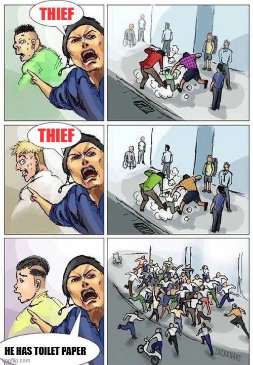 Thief Murderer | THIEF; THIEF; HE HAS TOILET PAPER | image tagged in thief murderer | made w/ Imgflip meme maker
