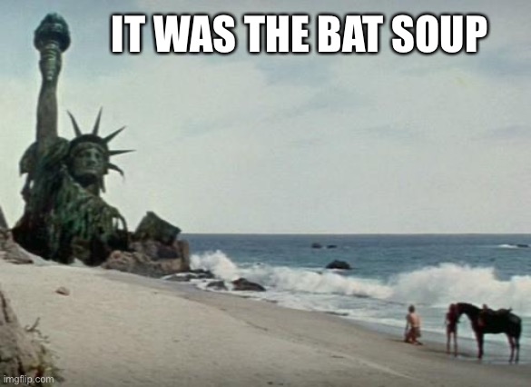 Charlton Heston Planet of the Apes | IT WAS THE BAT SOUP | image tagged in charlton heston planet of the apes | made w/ Imgflip meme maker