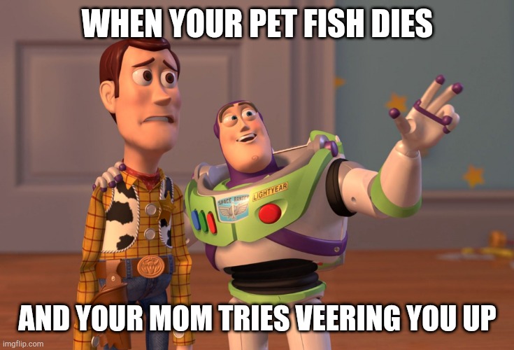 X, X Everywhere | WHEN YOUR PET FISH DIES; AND YOUR MOM TRIES VEERING YOU UP | image tagged in memes,x x everywhere | made w/ Imgflip meme maker